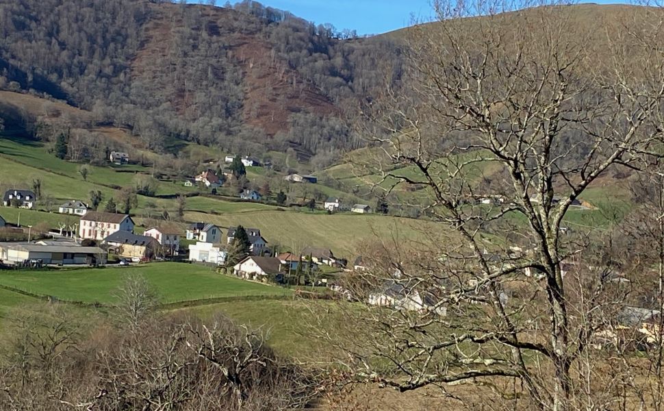 Belle Maison Souletine à la Lisière du village avec Vue Dégagé des Montagnes